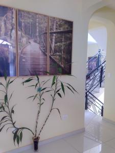 Suíte para 4 pessoas - CE - 2 km Autódromo de Interlagos