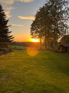 Ferienwohnung Buchenblick