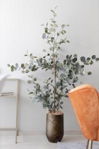 Paradise near the Sea (3 suites Heart of Pescara)