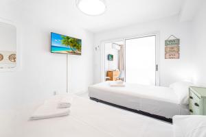 Albatros 13-8 Estudio Levante Beach