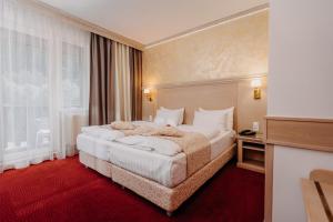 Superior Double or Twin Room with Terrace room in Hotel Lacu Rosu
