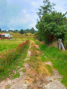 Casa Campo La Milagrosa