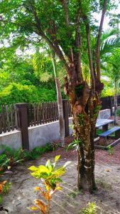 Fern Lodge Self Catering