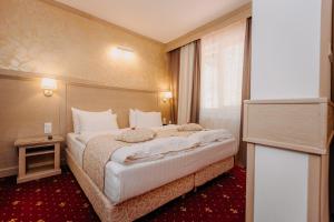 Superior Double or Twin Room room in Hotel Lacu Rosu