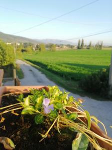 Canapai Assisi Rooms