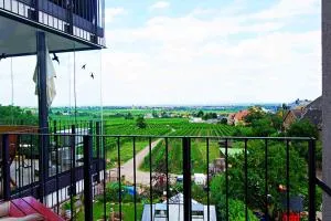 Ferienwohnung Casa del Vino - Hassloch