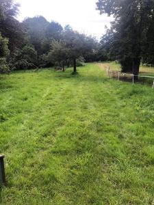 La Forêt Auvray - Maison de campagne