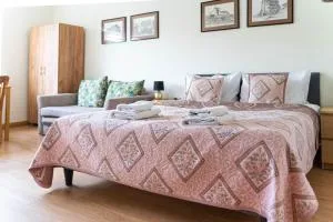 Apartament Sandomierski - Andruszkowice