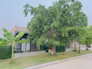 ริมยมรีสอร์ทแพร่ The rimyom resort phrae