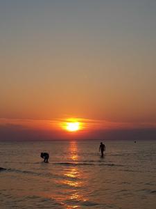 Strandstrasse 21 Fewo 06