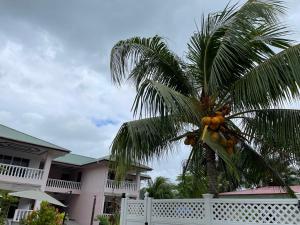 Mokara Holiday Apartment