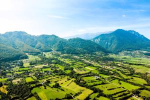 RAI Lodges Bran - Predelut