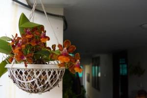 Sowparnika - A Family Home Experience