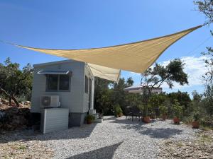 Daphne Tiny House