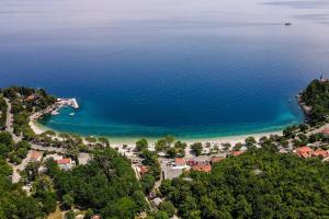 Holiday Resort Medveja 
