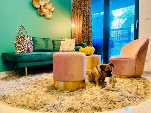 COLIBRI-Design&Beach Appartement mit 40m2 Terrasse und 2 SUPs