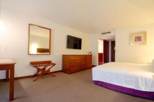 Camino Real Guadalajara