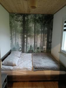 Bieszczadzka Miejscówka