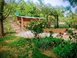 Villas Maison d'artiste African queen : photos des chambres