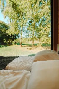 Arche Siedlisko Gorodczyno