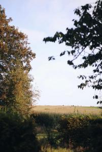 La villa des Crénées