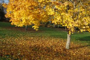 B&B / Chambres d'hotes la maison haute : photos des chambres