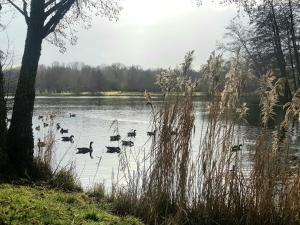 B&B / Chambres d'hotes la maison haute : photos des chambres