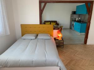 Appartements Room in Toulouse - T2 Toulouse Saint Martin du Touch : photos des chambres