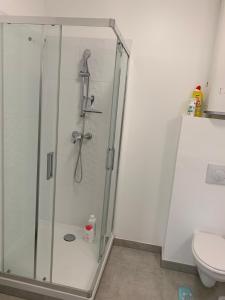 Appartements Room in Toulouse - T2 Toulouse Saint Martin du Touch : photos des chambres