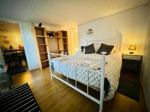 Chambre en rez de jardin - Connigis