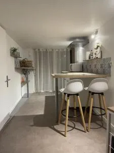 Appartement T1 renové - Cournonsec