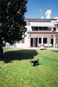Anima Jesolo - Ca delle Rose - Family Apartments - Piazza Mazzini, Childrens Garden, Beach Umbrella Included, 2 Parking Spaces