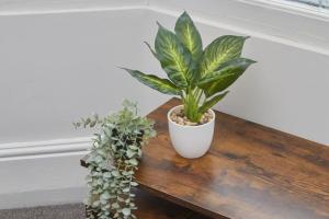 Comfortable Teesside House With On Street Parking