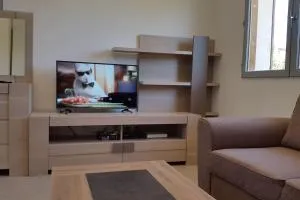 Studio climatisé avec terrasse, fibre et Wi FI . - 伊泽尔河畔新堡