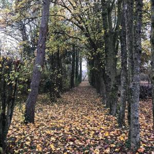 Le petit Saint Vincent, Neuf et calme