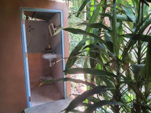 Sabai Corner Bungalows - SHA Extra Plus