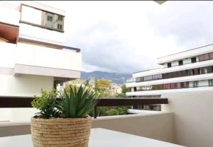 Vista Infante Apartments - Ubytování bez kategorie ve městě Funchal