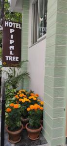 Hotel Pipal Tree
