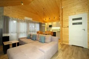 Całoroczny drewniany domek Superior i apartamenty Eko-oaza w Krynica Morska-Piaski - 新卡尔奇马