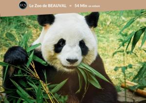 Appartements L'Etape Tourangelle : photos des chambres