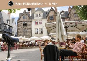 Appartements L'Etape Tourangelle : photos des chambres