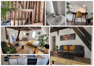 Appartements L'Etape Tourangelle : photos des chambres