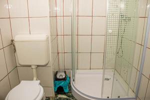 Occidental Wise Transit