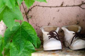 bbolbia - bed and breakfast img25