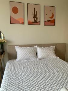 Premium The Sóng 5sao P Homestay