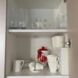 Kaunas City Center Apartment