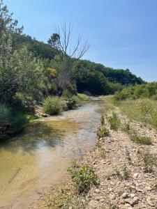 B&B / Chambres d'hotes Histoire de cru : photos des chambres