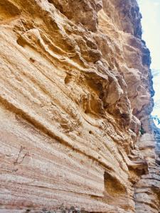 B&B / Chambres d'hotes Histoire de cru : photos des chambres