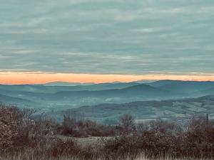 B&B / Chambres d'hotes Histoire de cru : photos des chambres