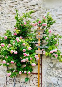 B&B / Chambres d'hotes Histoire de cru : photos des chambres